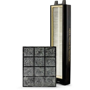 Riccar R25P HEPA and Granulated Charcoal Filter Set #R25P-F